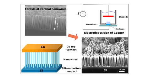 reliable fabrication of metal contacts on silicon nanowire|Reliable Fabrication of Metal Contacts on Silicon Nanowire Forests.